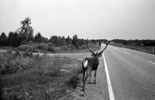 050finlande