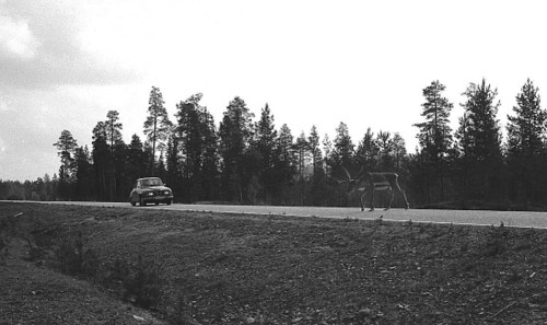 080finlandes