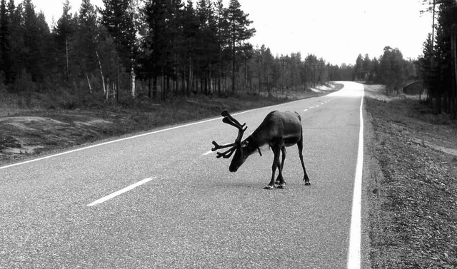 47finlande