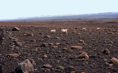 031islande