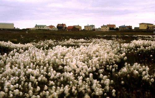 225islande_1
