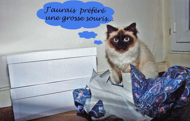 17 cadeau