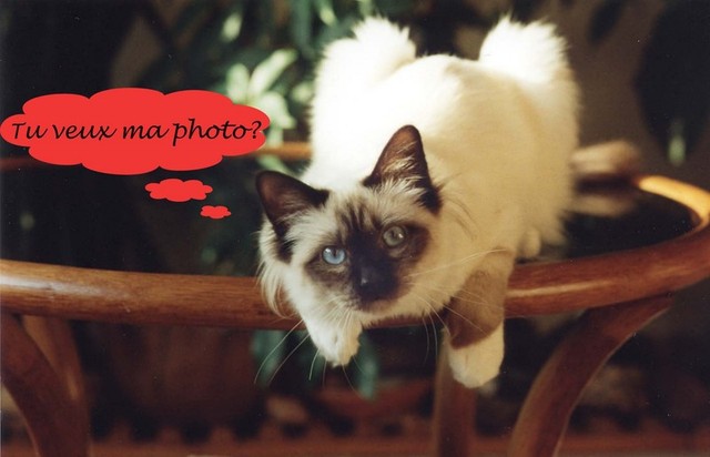 18photo