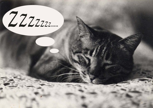 26sommeil