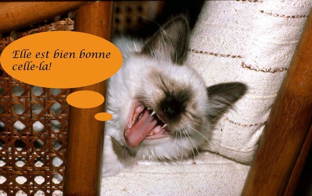 2fou rire