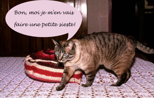 32sieste