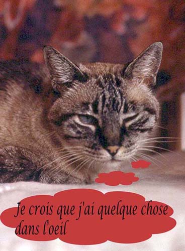 35 clin d'oeil