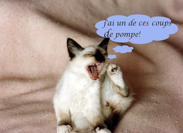 3 coup de pompe
