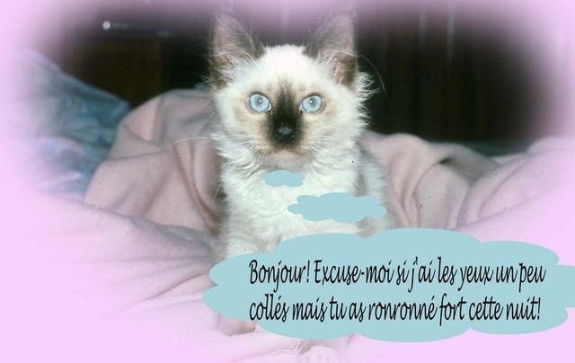 6 réveil