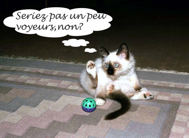 9 voyeur
