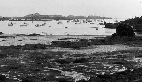 Iles_chausey11