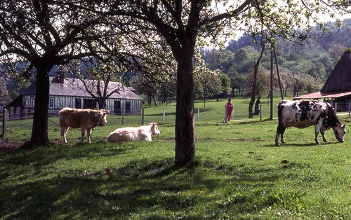 Marais Vernier2