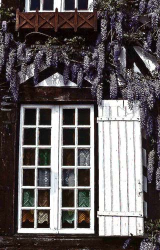 Normandie003