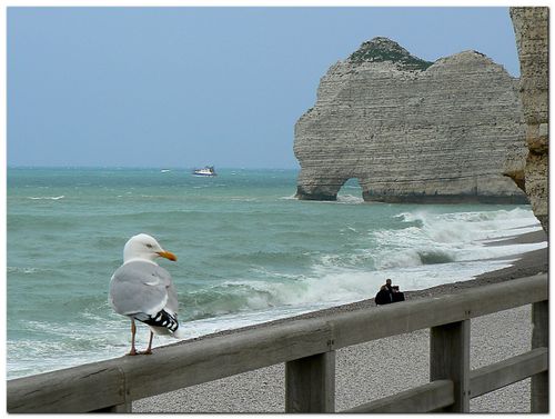 plage d'Etretat2
