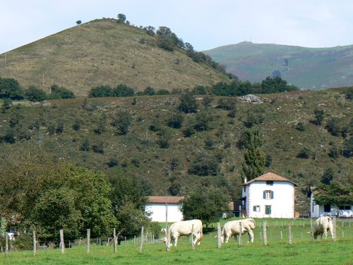 collines près de Bidarray