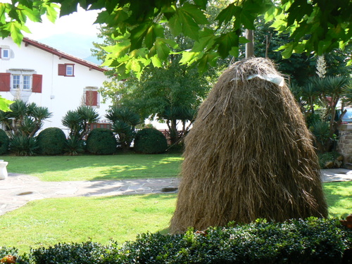 Meules de fourrage