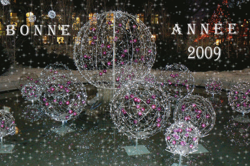 Voeux2009_2