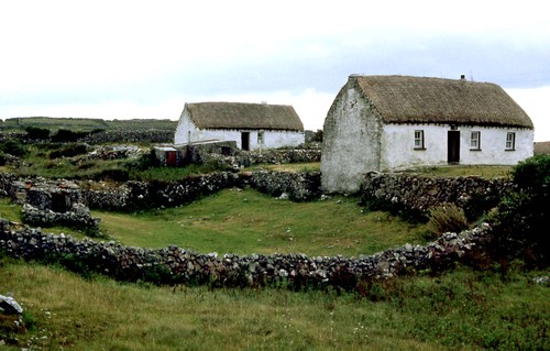 Aran018