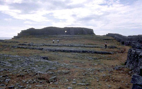 Aran10