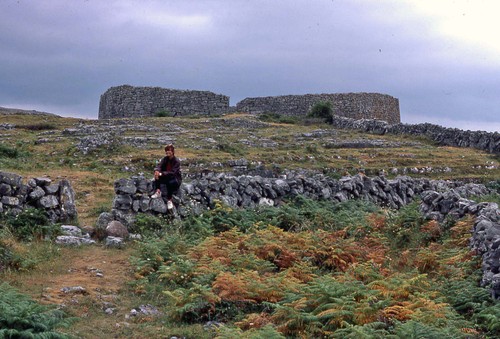 Aran4