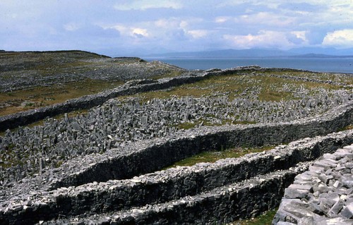 Aran9