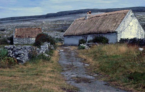 Burren13