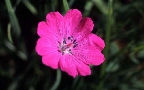 Burren5