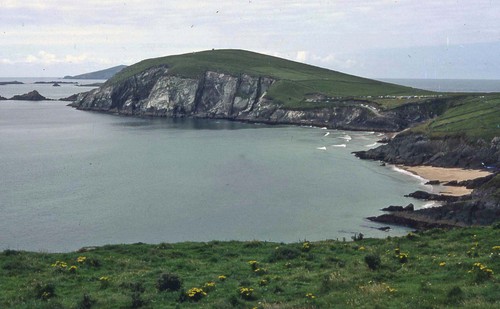 Dingle8