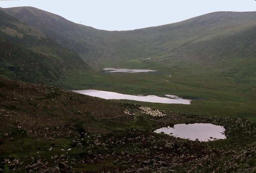 Irlande048