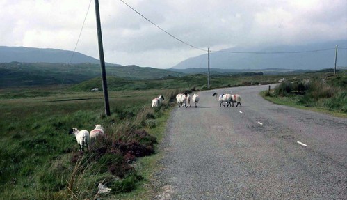 Irlande049