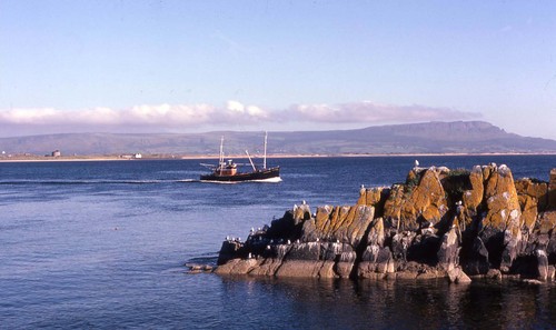 Moville1