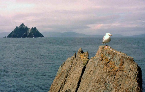 Skelligsrocks2
