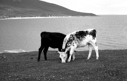 Achill10