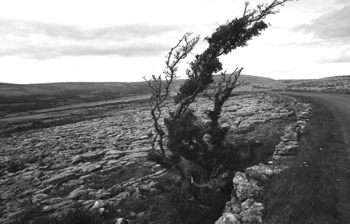 Burren7
